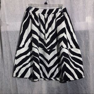 Express skirt size 4